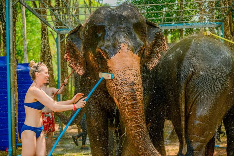 Phuket: Happy Hour Feed and Rain Shower with Elephant - The setting near Phuket’s beach side