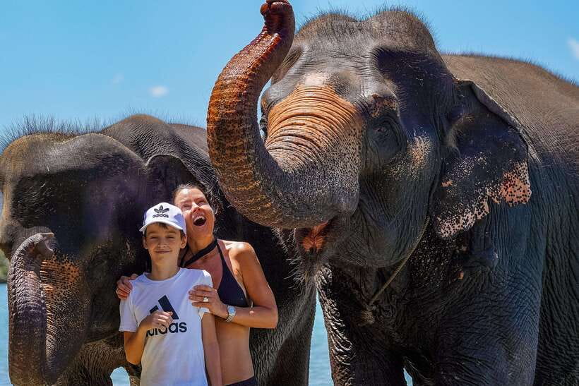 Phuket: Happy Hour Feed and Rain Shower with Elephant - Who should book this experience