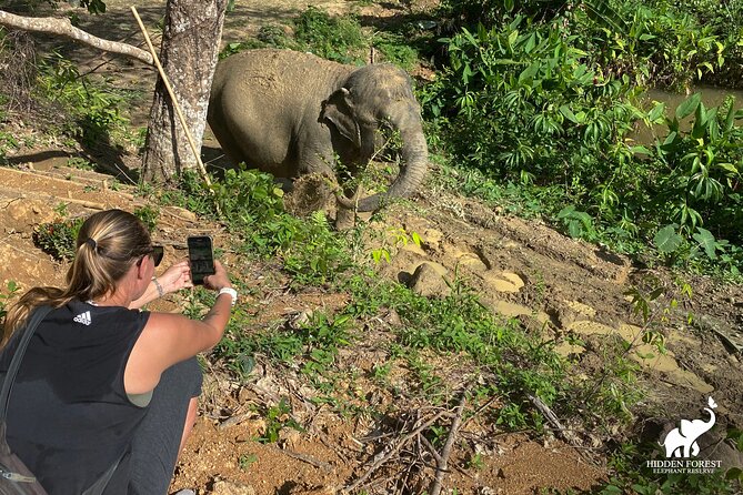 Phuket: Hidden Forest Elephant Reserve Guided Tour with Lunch - Vegetarian Thai lunch beside the bathing pools