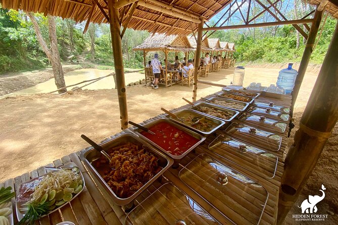 Phuket: Hidden Forest Elephant Reserve Guided Tour with Lunch - What the $99 price really buys you