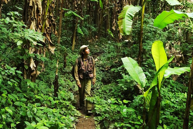 Phuket Jungle Trekking Experience at Khao Phra Taew National Park - Key points to know before you book