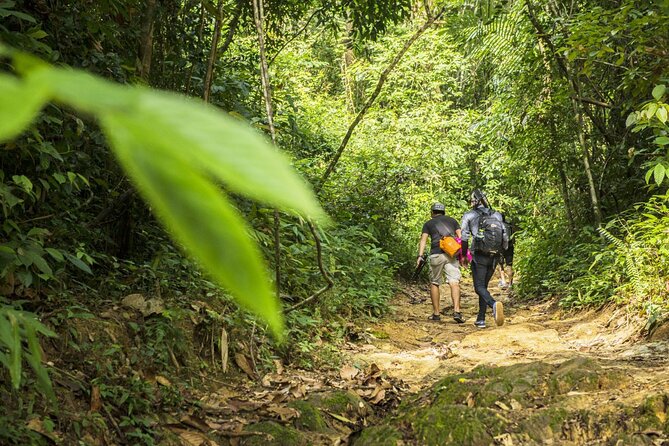 Phuket Jungle Trekking Experience at Khao Phra Taew National Park - Why a guide matters on these jungle trails
