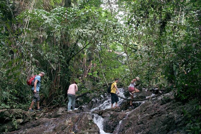 Phuket Jungle Trekking Experience at Khao Phra Taew National Park - Wildlife watching without false promises