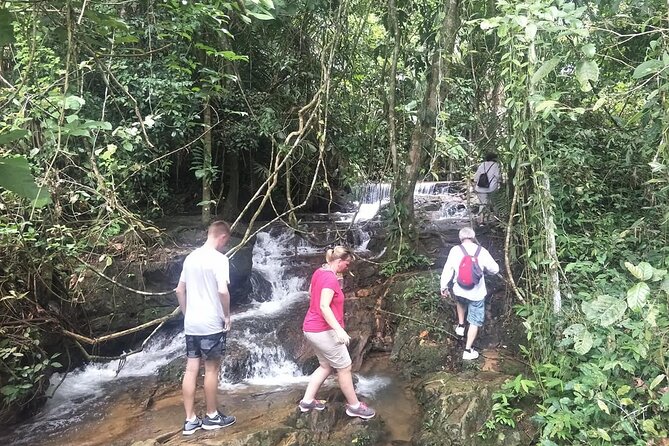 Phuket Jungle Trekking Experience at Khao Phra Taew National Park - Who will enjoy this six-hour outing