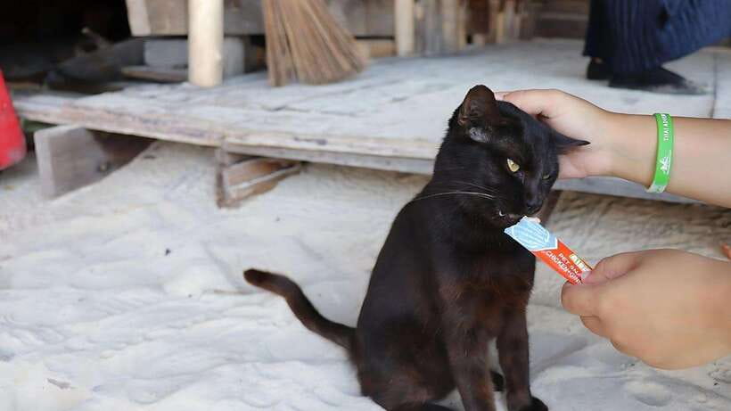 Phuket: Khai Nok, Khai Nai, and Khai Nui Island Day Trip - Khai Nok: white sand and free time