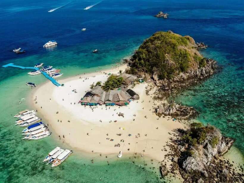 Phuket: Khai Nok, Khai Nai, and Khai Nui Island Day Trip - Khai Nai and the beach cats