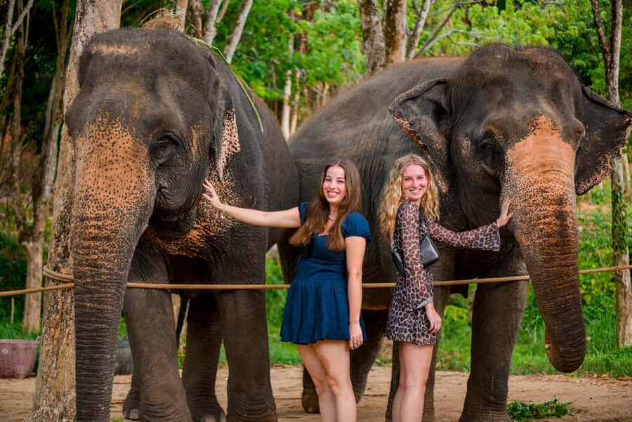 Phuket: Make & Meet The Gentle Giant Experience - Key details before you book