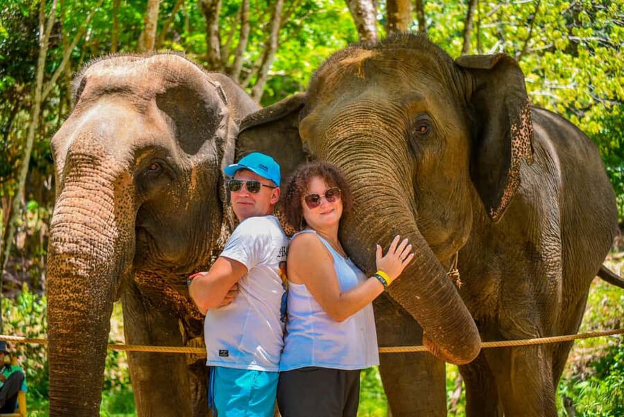 Phuket: Make & Meet The Gentle Giant Experience - What the vitamin ball activity is really about