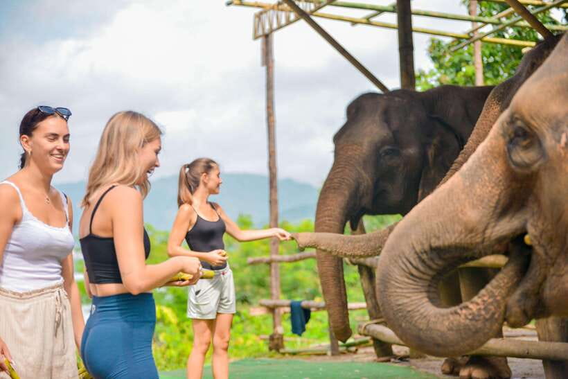 Phuket: Make & Meet The Gentle Giant Experience - What the $34 price includes