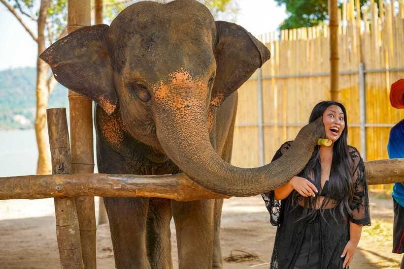 Phuket: Make & Meet The Gentle Giant Experience - Who will get the most from this visit