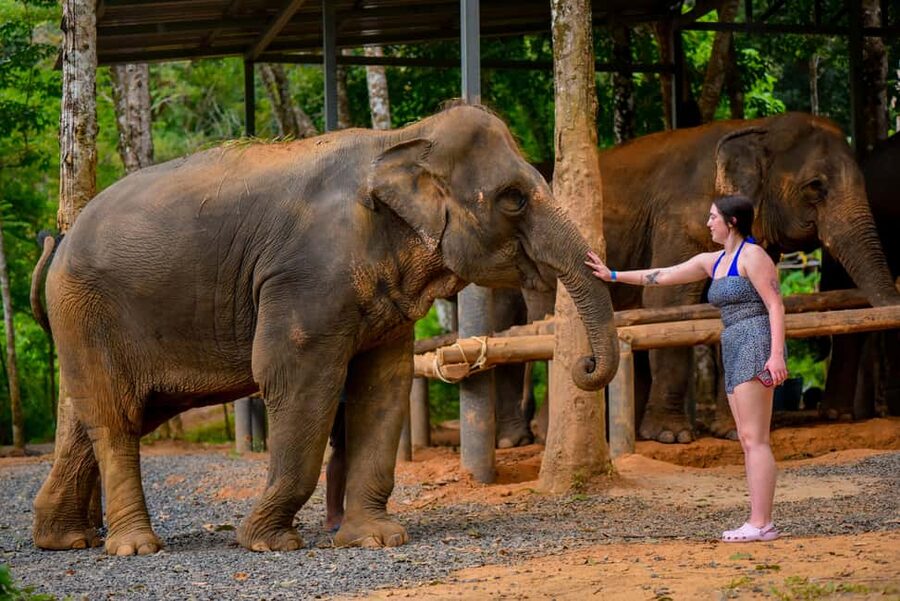 Phuket: Make & Meet The Gentle Giant Experience - Booking, cancellation, and practical planning