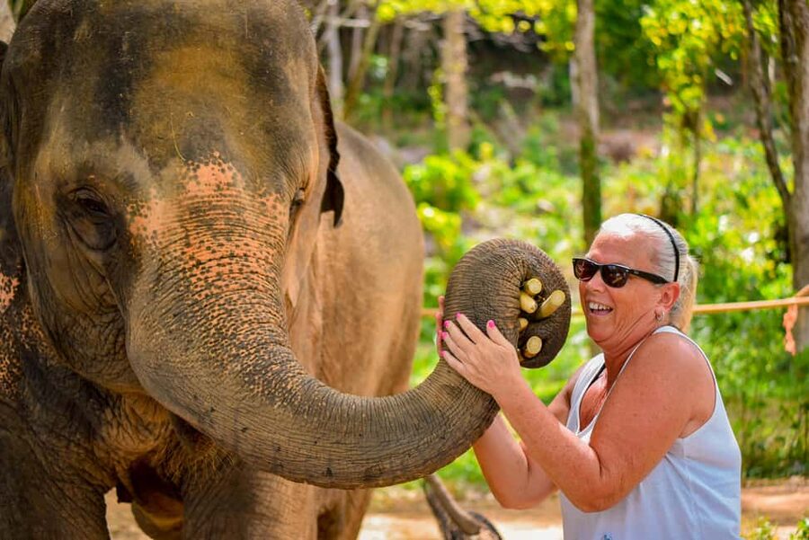 Phuket: Make & Meet The Gentle Giant Experience - Arriving at Lily Elephant Camp Phuket