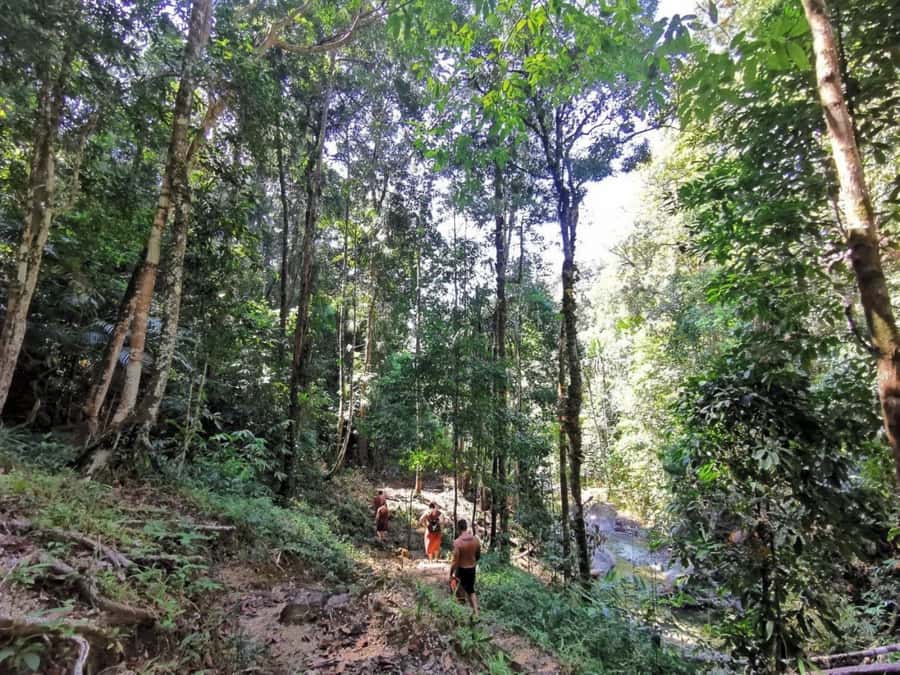 Phuket: Monkey Cave, Water Rafting, Zipline with ATV Option - Who should book this Phang Nga adventure?