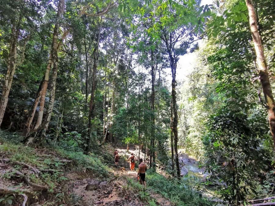 Phuket: Monkey Cave, Water Rafting, Zipline with ATV Option - Is $44 good value?