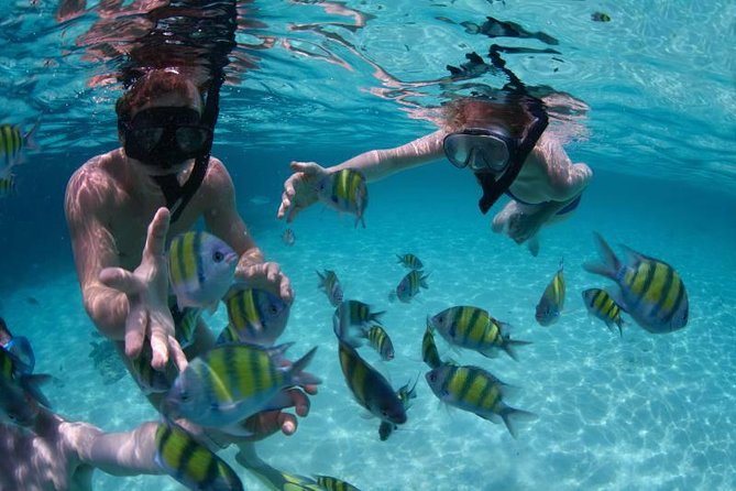 PHUKET-Phi Phi Island-Khai Island-Lunch by Sea Angel Speed Boat - Viking Cave and snorkeling in emerald water
