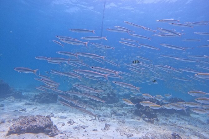 Phuket: Scuba Dive Racha and Coral Islands with Snorkeling Tour - A full day from Phuket, with the sea as the main event