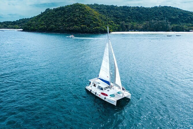 Phuket Scuba Diving Maiton Private Island Small Group or Snorkel - What the reef and marine life may offer