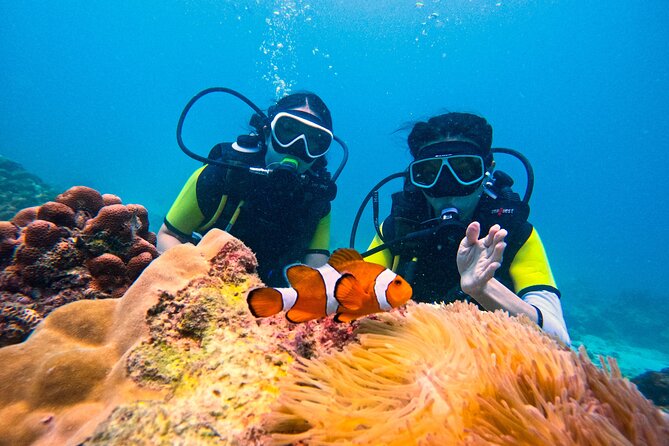 Phuket Scuba Diving: Racha Island Or Maiton Island For All Levels - Key points at a glance