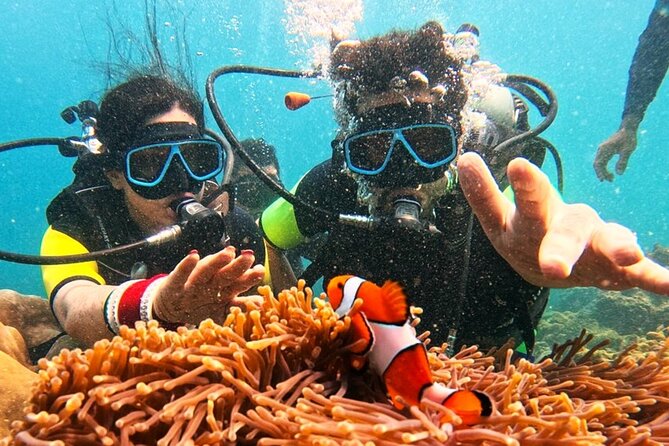 Phuket Scuba Diving: Racha Island Or Maiton Island For All Levels - Maiton or Racha: choosing the right Phuket trip