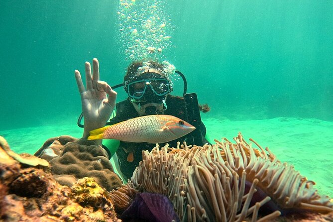 Phuket Scuba Diving: Racha Island Or Maiton Island For All Levels - Safety, reef care, and what you should watch
