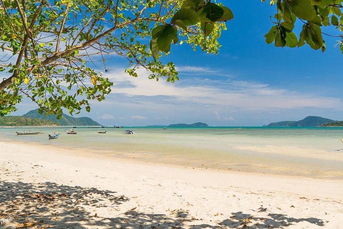 Phuket Shore Excursion - Private City Tour for Cruise Arrival (SHA Plus) - Cashew Nuts and Phuket Shopping Stops