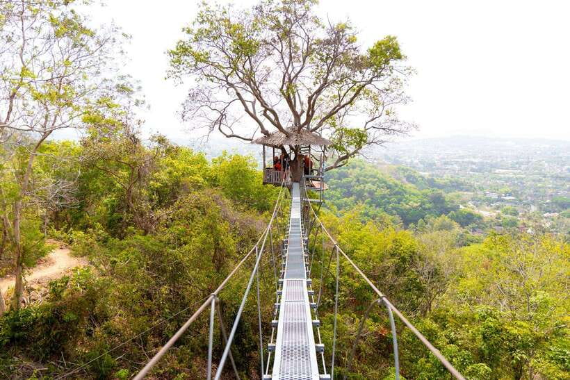 Phuket: Zipline Flying Higher than a Hawk with ATV Option - Flying through the canopy on varied zip lines
