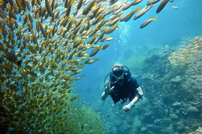 Premium Guided Scuba Diving Day Trip for Certified Divers - A quieter boat day from Chalong