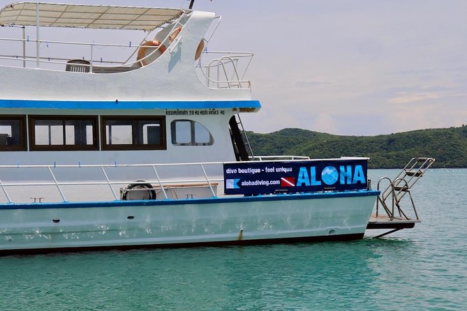 Premium Guided Scuba Diving Day Trip for Certified Divers - Who will get the most from this trip