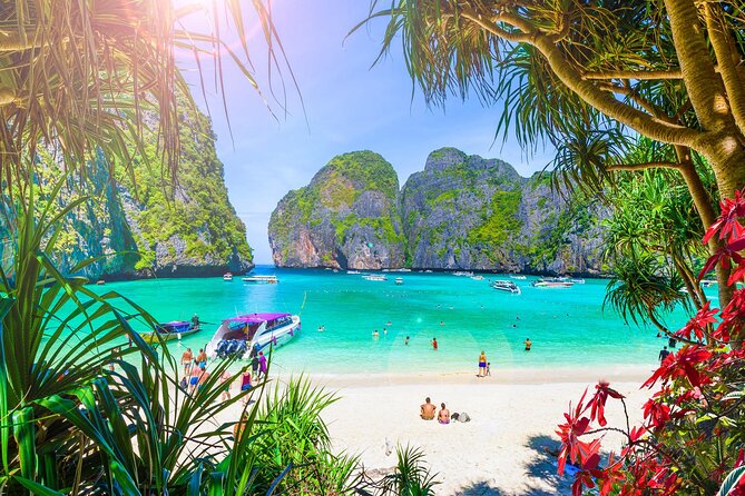Premium Phi Phi, bamboo island tour Speed Catamaran - What the 9-hour Phi Phi day is really like