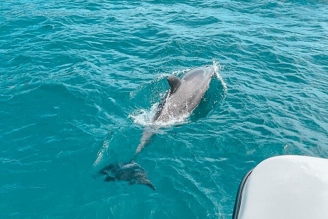 Private Boat Tour with Dolphin Spotting and Snorkelling from Phuket - Check in with 5 Star Marine before the boat leaves