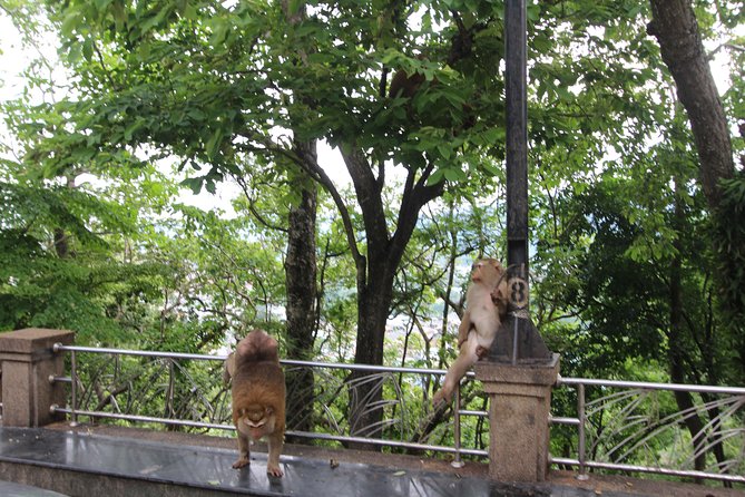 Private food Tour + Sightseeing +Thai Cooking class - Guides Woody and Danny, and the small-group difference