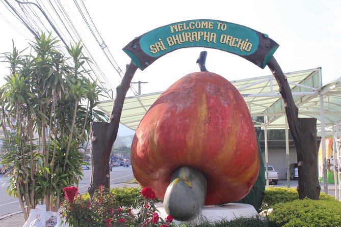 Private local city tour with english speaking driver - Monkey Hill and the Rang Hill view