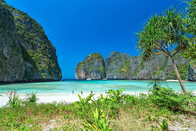 Private Phi Phi 5 Star Islands Full Day Tour - Maya Bay and the morning’s big view