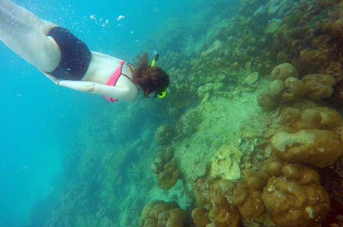 Private Speedboat Maiton, Racha, and Coral Islands Tour from Phuket - Maiton Island and the chance of dolphins