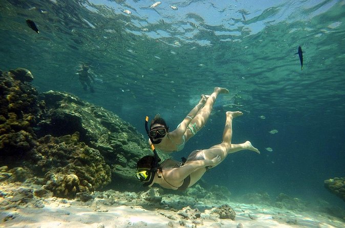 Private Speedboat Maiton, Racha, and Coral Islands Tour from Phuket - Lunch needs a clear answer before departure