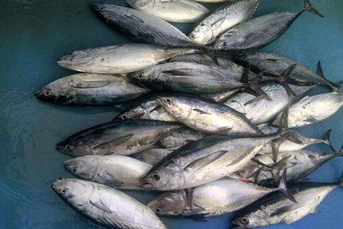 Racha Island Game Fishing & Trolling From Phuket - Is $80.15 a fair price?