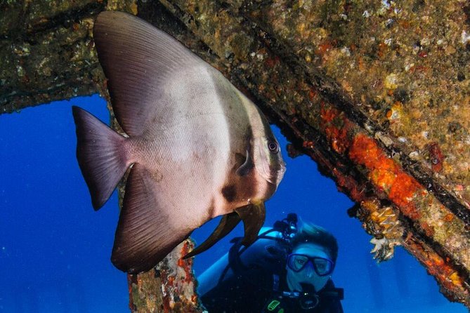 Racha Noi and Racha Yai Dive Trip from Phuket - Meals, transfers, and the long day