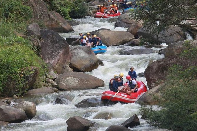 Rafting 5 km, ATV 30 Mins, Fly Fox and Jungle Tour From Phuket - Key points to know before booking