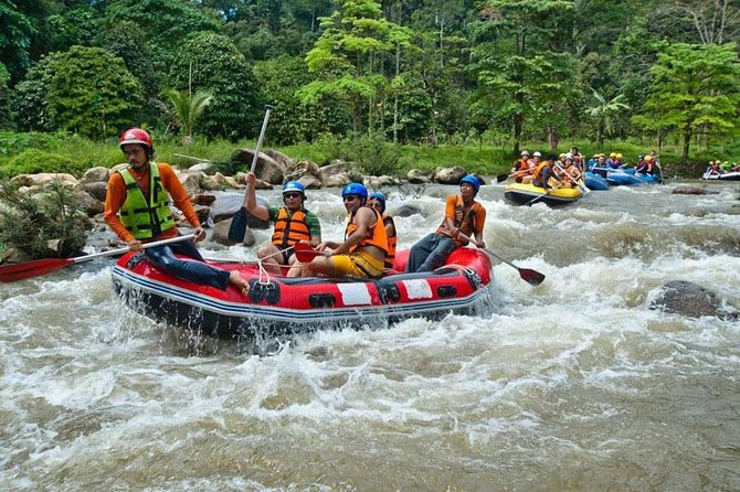 Rafting 5 km, ATV 30 Mins, Fly Fox and Jungle Tour From Phuket - Is $60.83 good value?