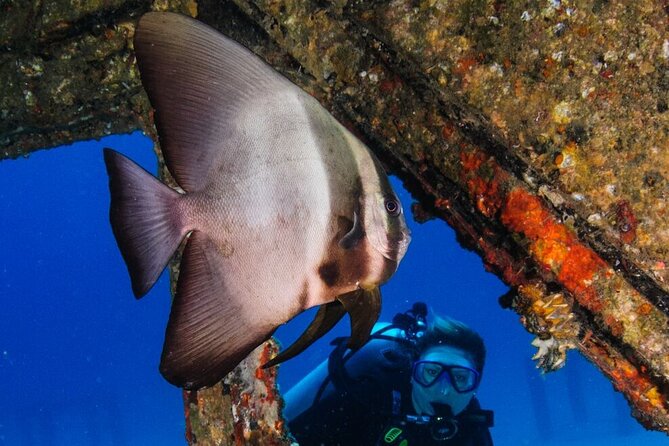 Refresher scuba diving trip, 3 dives at Racha Noi and Racha Yai - Why this refresher works better than simply renting gear