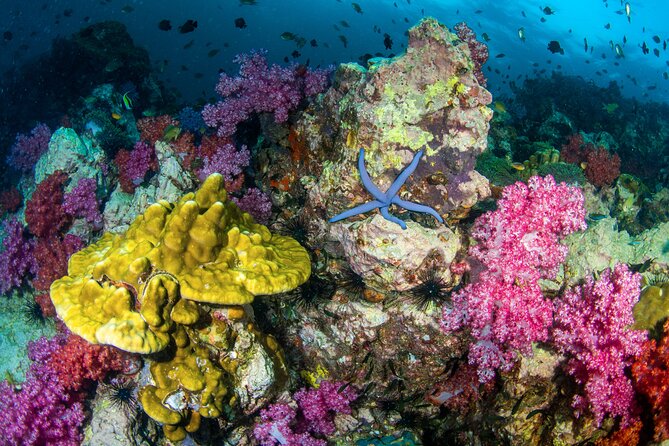 Scuba Diving Daytrip to Racha Yai - What the Underwater Program Is Really Like