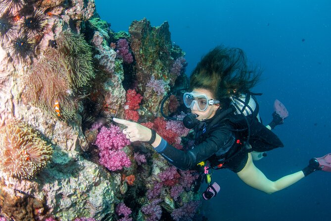 Scuba Diving Daytrip to Racha Yai - Setting Out from Chalong Pier