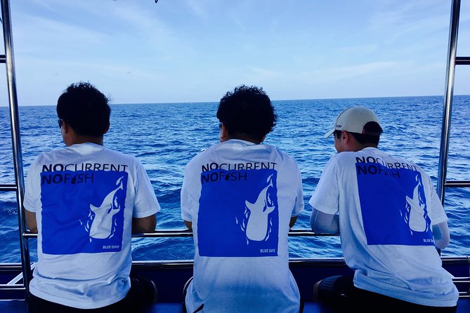 Scuba Diving in Phuket – Full-Day Trip (3 Dives, All Included) - What you may see at Racha, Phuket Marine Park, and Phi Phi