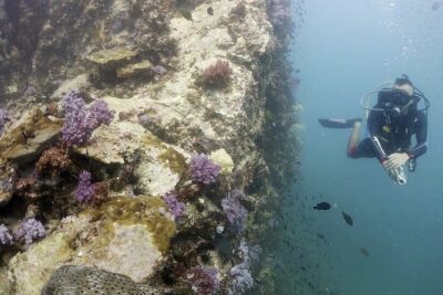 Scuba Diving in Phuket – Full-Day Trip (3 Dives, All Included)