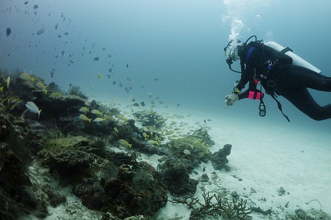 Scuba Diving in Phuket – Full-Day Trip (3 Dives, All Included) - Is $179.24 good value?