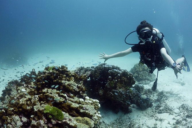 Scuba Diving in Phuket – Full-Day Trip (3 Dives, All Included) - Who should book this Phuket scuba trip?