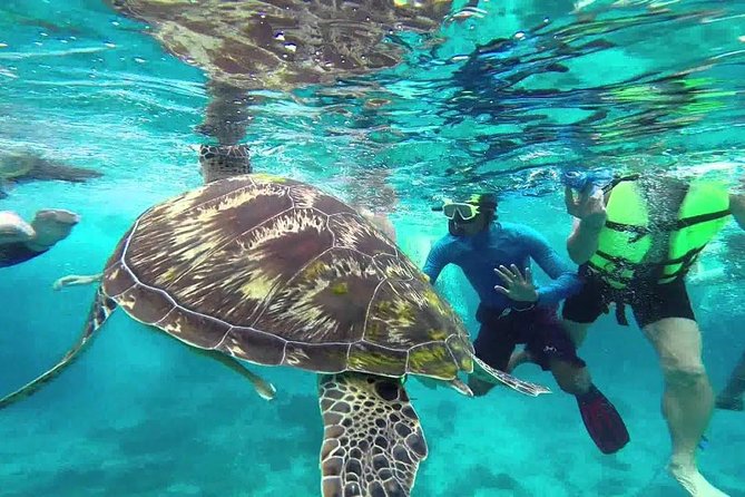 Similan Islands Full-Day Tour from Phuket with Lunch (SHA Plus) - Koh Payu, the first snorkeling stop