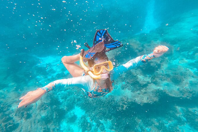 Similan Islands Private Tour - Food, drinks, and what you should bring