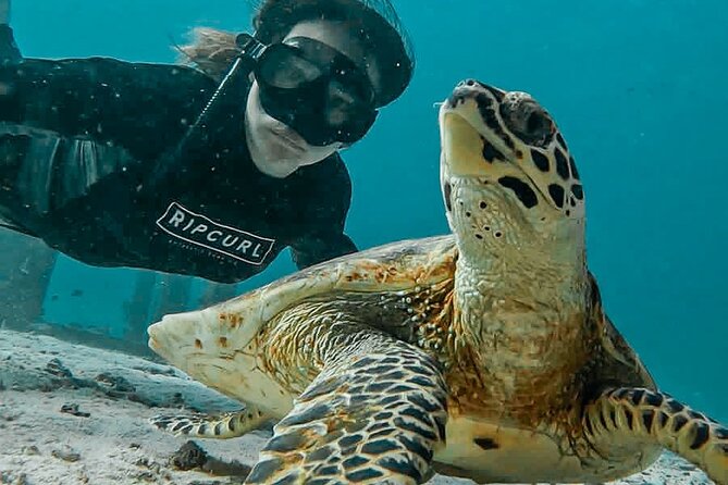 Similan Islands Private Tour - Koh Miang, Island No. 4, is the day’s main water stop