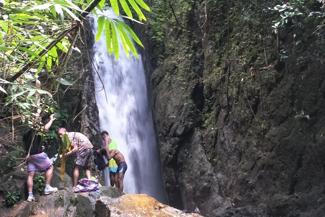 Small-Group Jungle Hiking Excursion in Khao Phra Teaw Park - A rainforest morning away from Phuket’s beaches